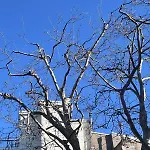 Apartment Loft Paris 6 - Saint-Germain-Des-Pres - *